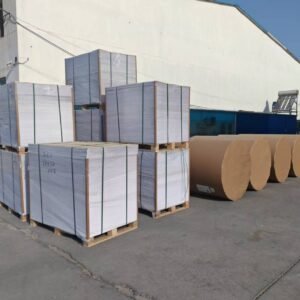 China source factory produces disposable PE single-layer coated flat paper
